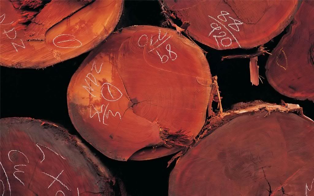 Logs.jpg