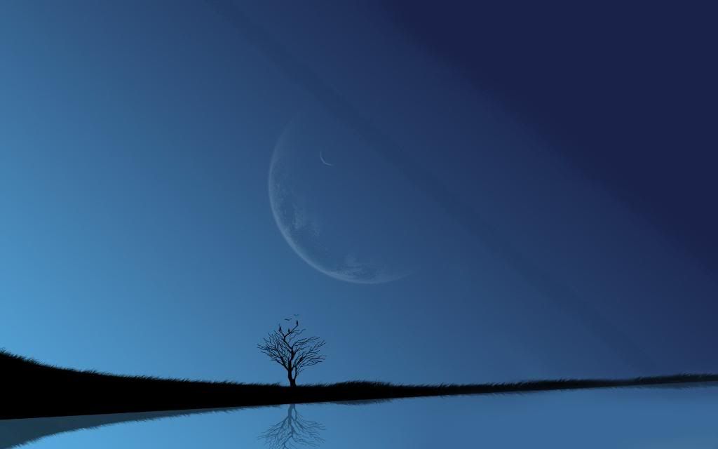 Lonely_Tree.jpg
