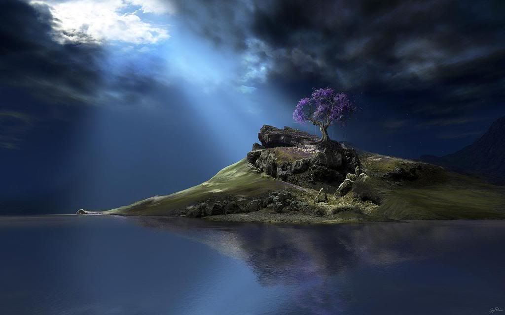 Magic_cherry_hd_wallpaper.jpg