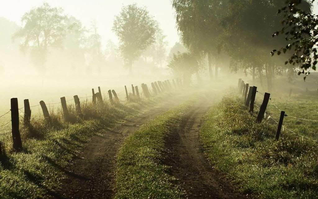 Morning_Fog_Desktop_Wallpaper_hd_wallpaper.jpg