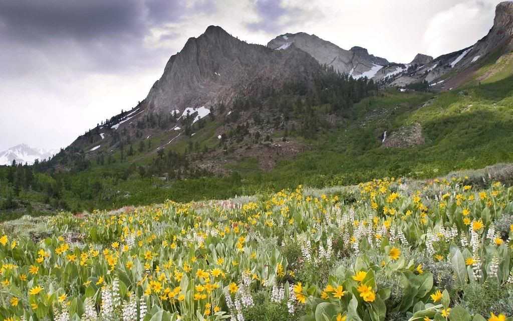 Oak_Creek_Canyon_Arizona_hd_wallpaper.jpg