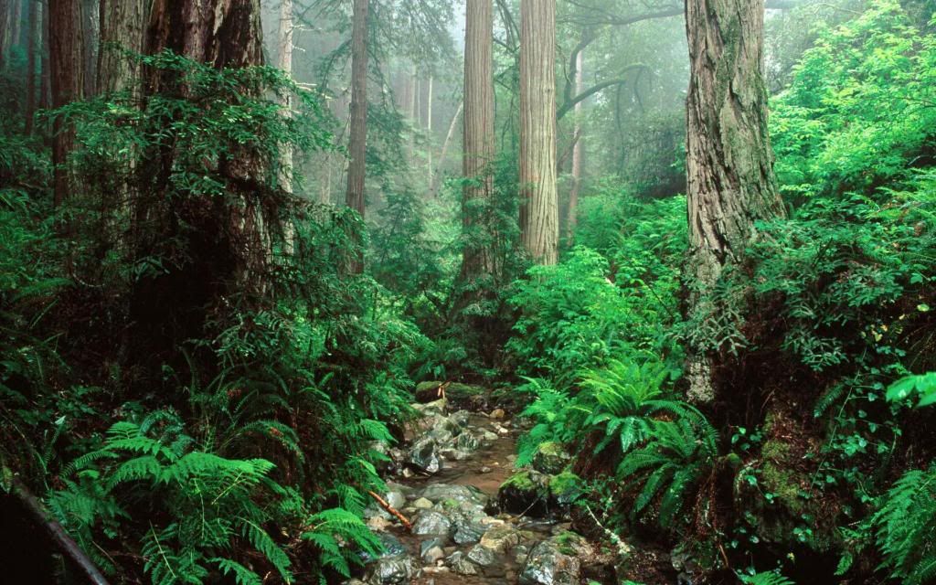 Olympic_National_Park.jpg
