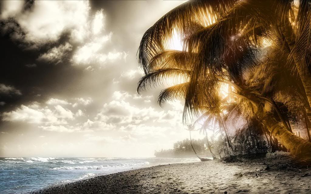 Palm_Beach_hd_wallpaper.jpg