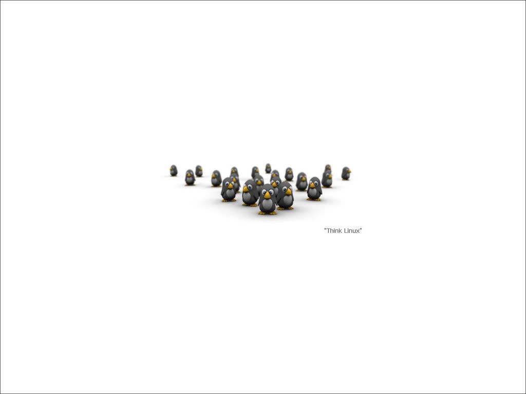 Penguins.jpg