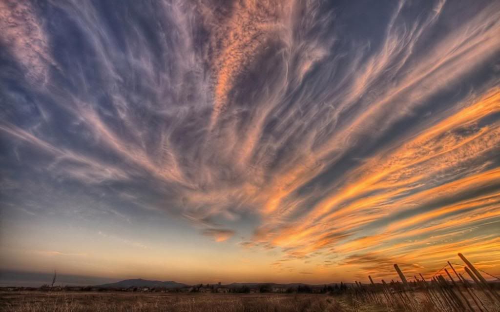 Poetic_sunset_Widescreen_wallpaper.jpg
