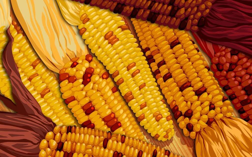 Popcorn_hd_wallpaper.jpg