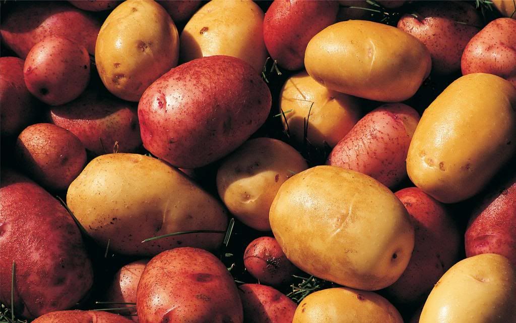 Potatoes.jpg