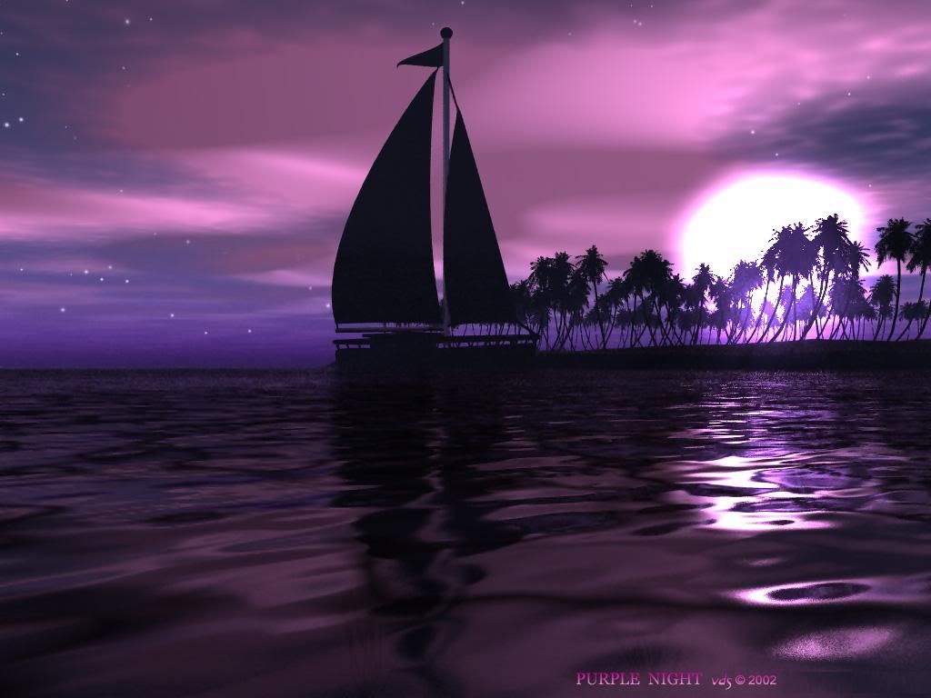 Purple-Wallpaper-purple-558780_1024_768.jpg