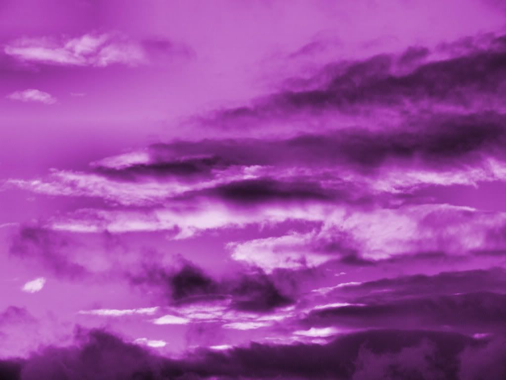 Purple-Wallpaper-purple-558782_1024_768.jpg