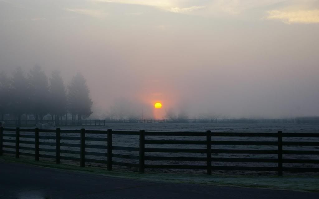 Ranch_Evening_fog_hd_wallpaper.jpg