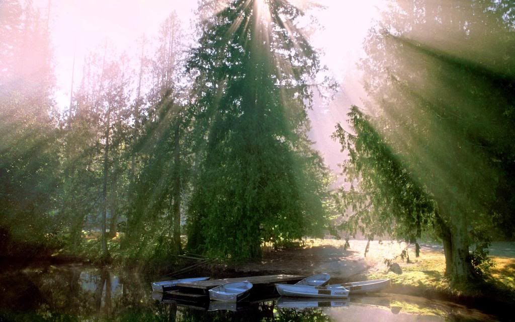 Relax_on_the_lake_-_Olympic_National_Park_Washington.jpg