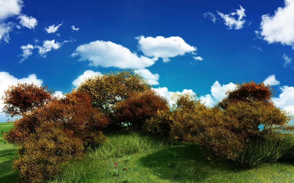 Shrub_Trees_widescreen_wallpaper.jpg