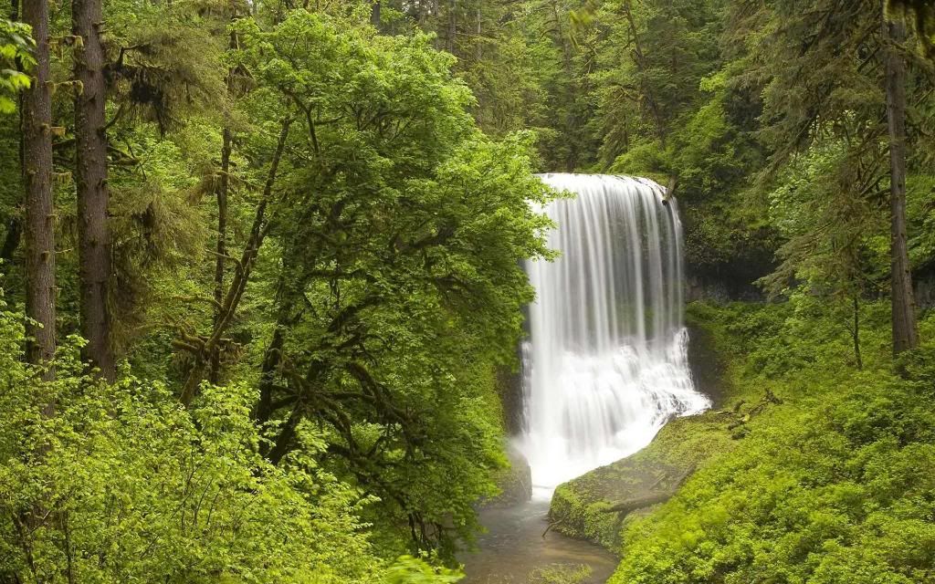 Silver_Falls_State_Park_hd_wallpaper.jpg