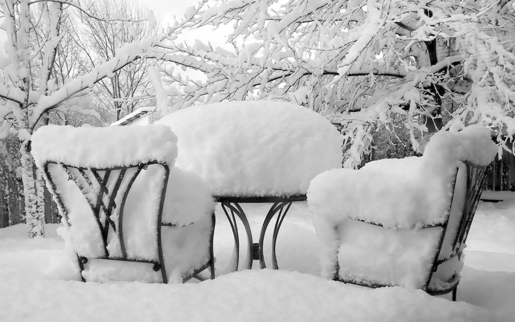 Snow_covered_hd_wallpaper.jpg