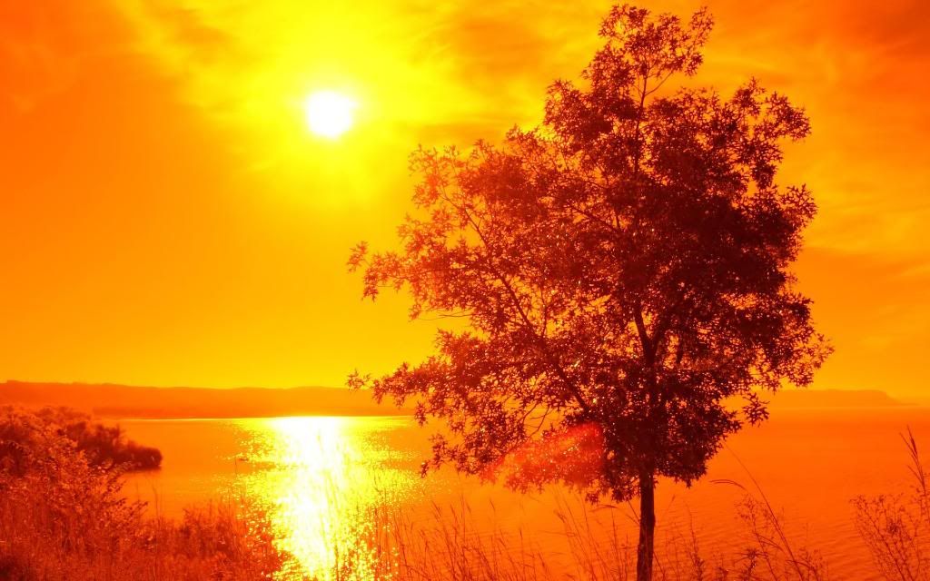 Sunset_orange_hd_wallpaper.jpg