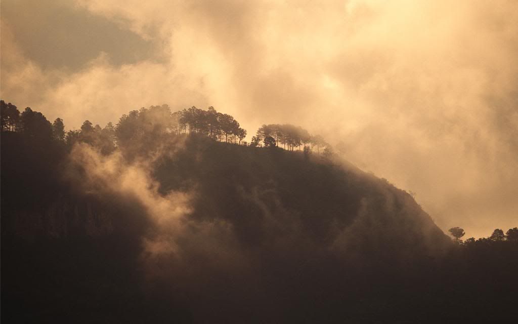 The_hills_in_the_fog.jpg