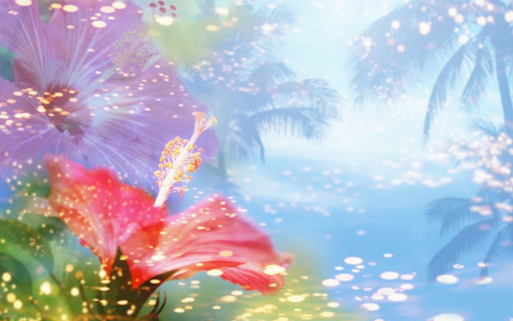 Tropical_dream.jpg