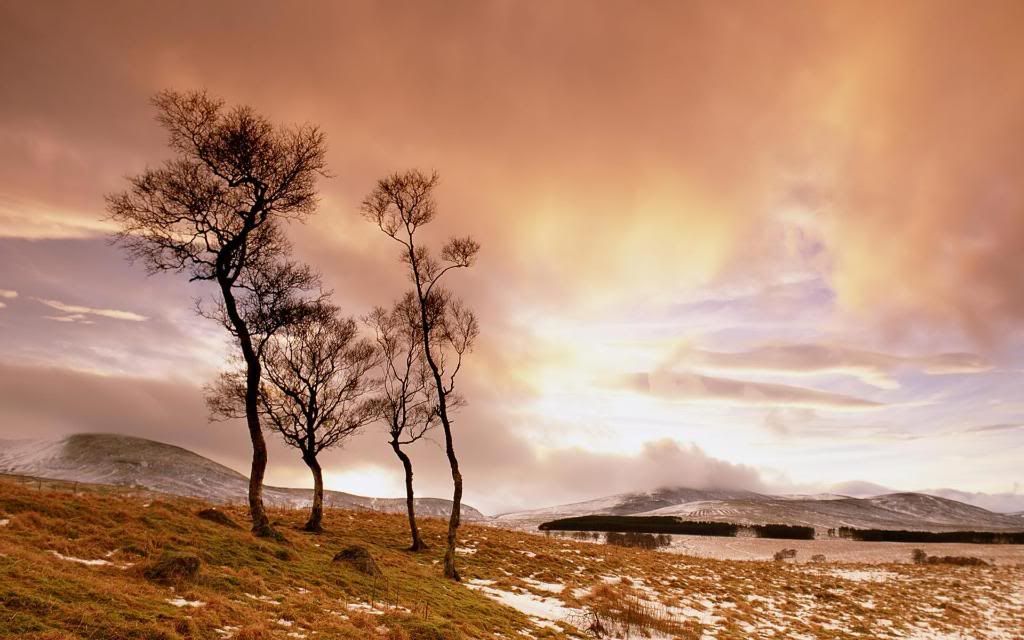 Turtle_Mountain_Plateau_hd_wallpaper.jpg