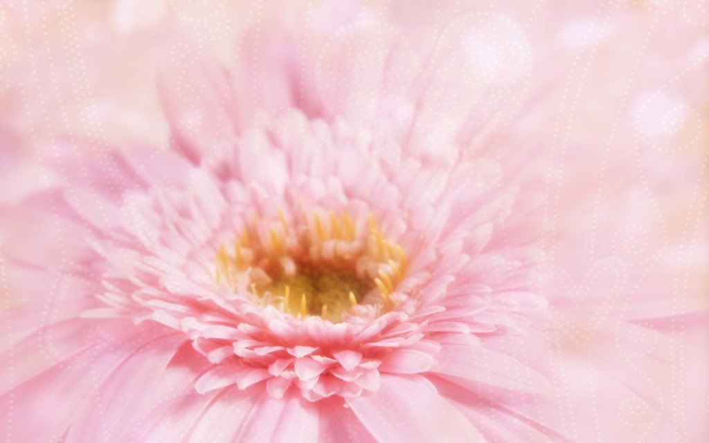 Valentines_Day_Flowers.jpg
