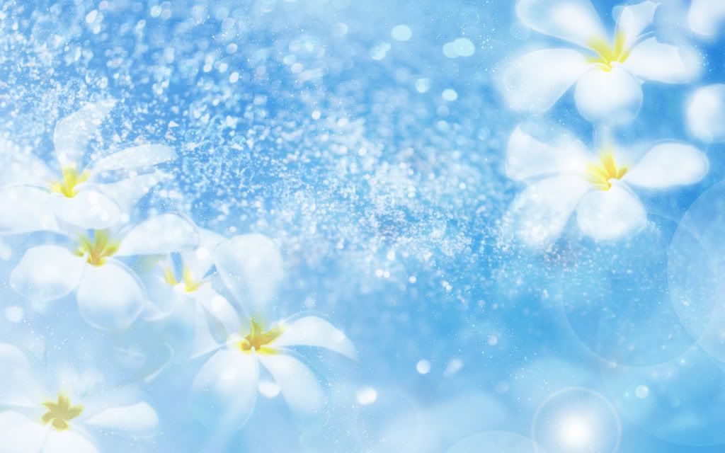 White_plumeria.jpg