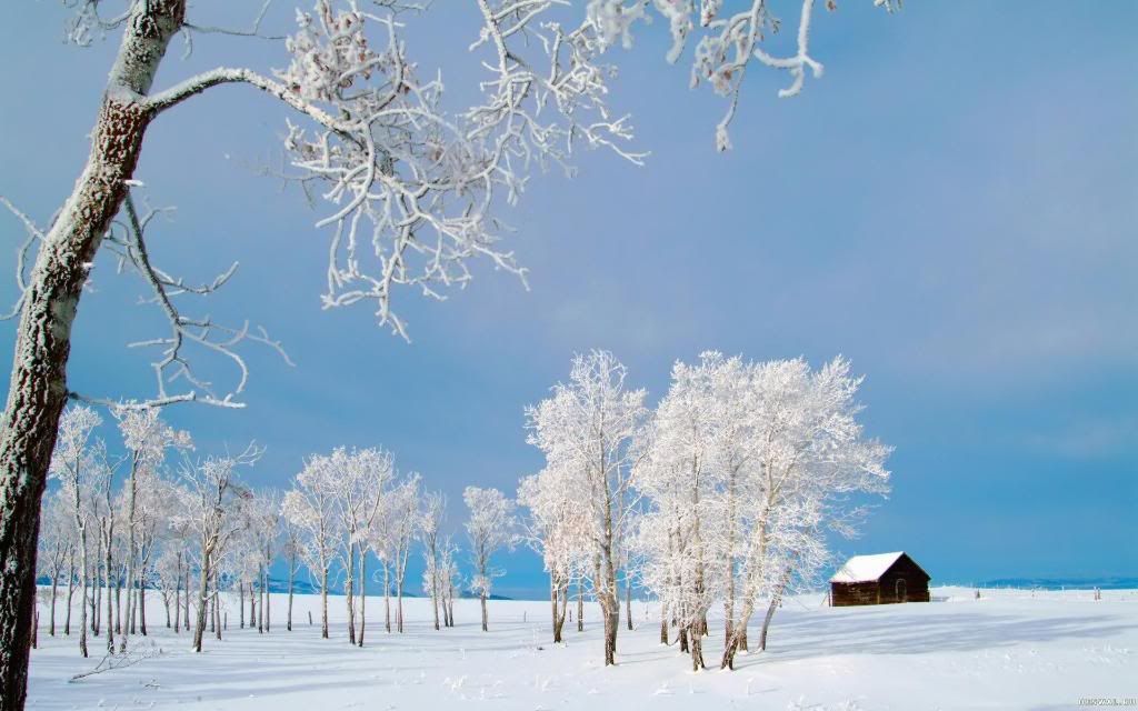 Winter_House_hunting_hd_wallpaper.jpg