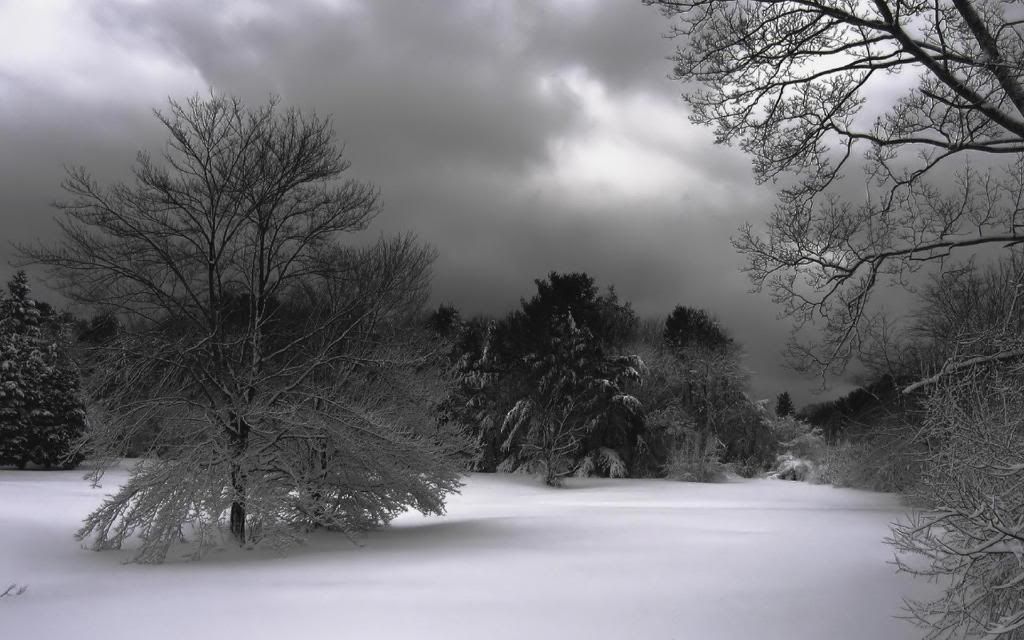 Winter_Night_hd_wallpaper.jpg
