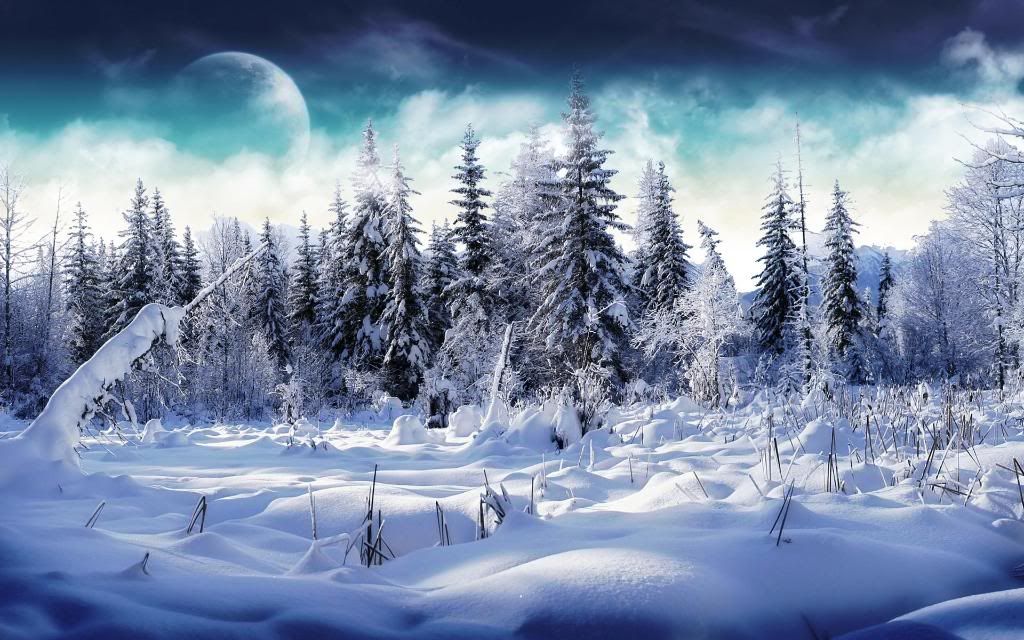 Winter_Snowy_forest_hd_wallpaper.jpg