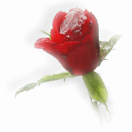 animation2222ct6gx8eh5.gif