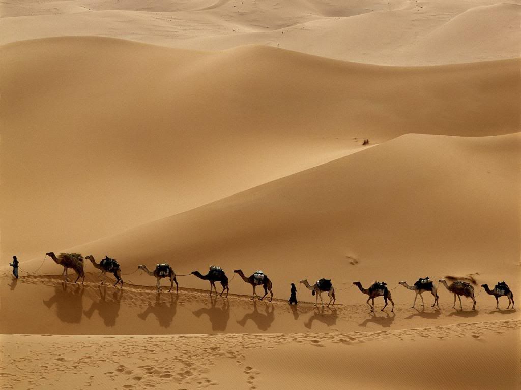 camel-caravan-libya.jpg
