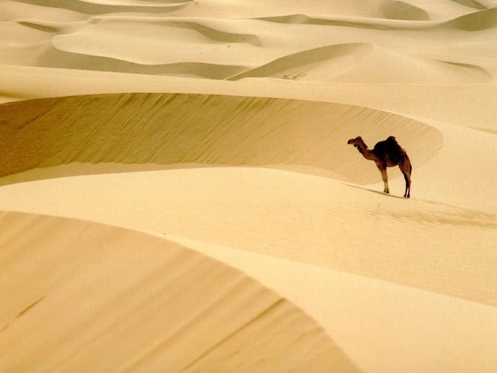 desert_4.jpg