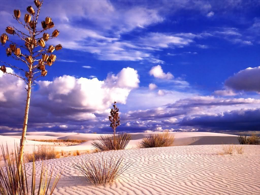 desert_5.jpg