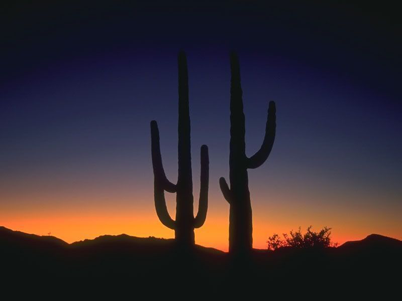 desert_7.jpg