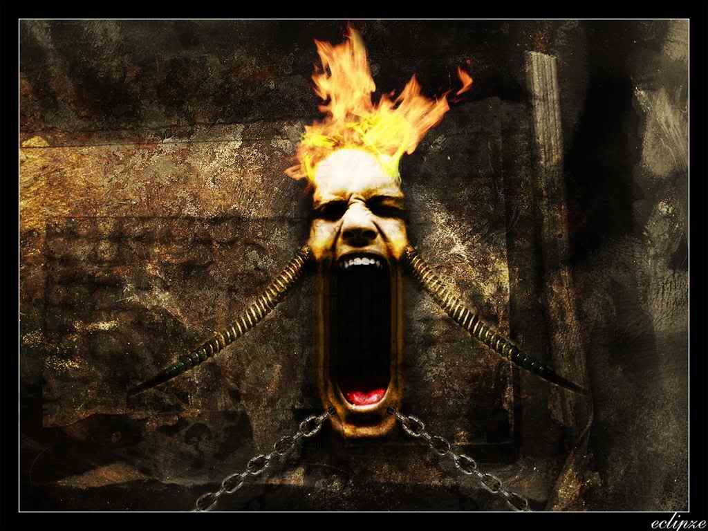 df3333333nb.jpg