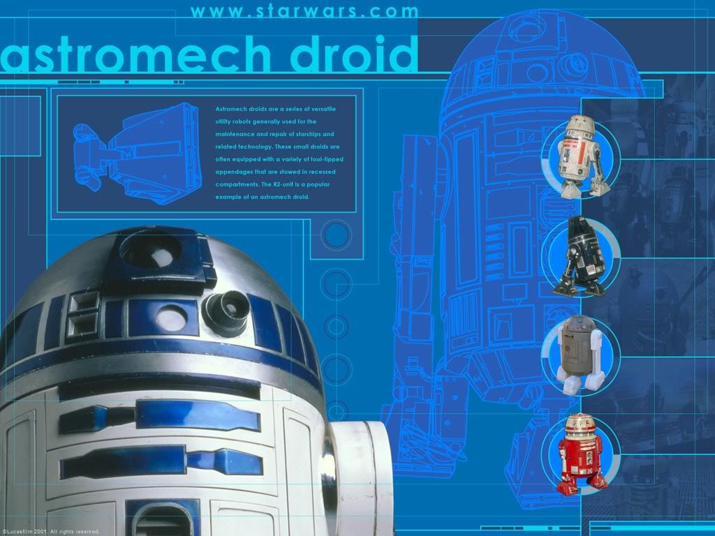 droid11024.jpg