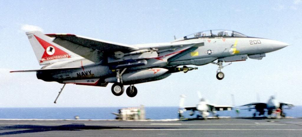 f-14-navy591.jpg