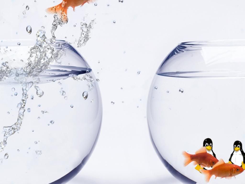 fish-linux-wallpapers.jpg