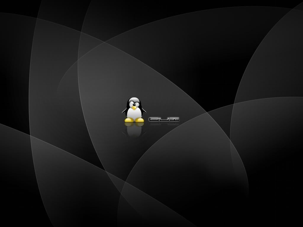 gui-1024x768.jpg