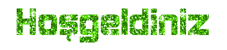 h3.gif