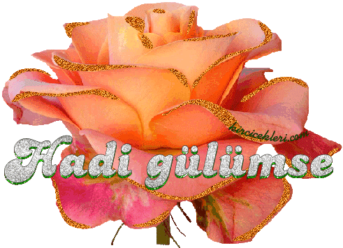 hareketli-gifler-87O1J.gif