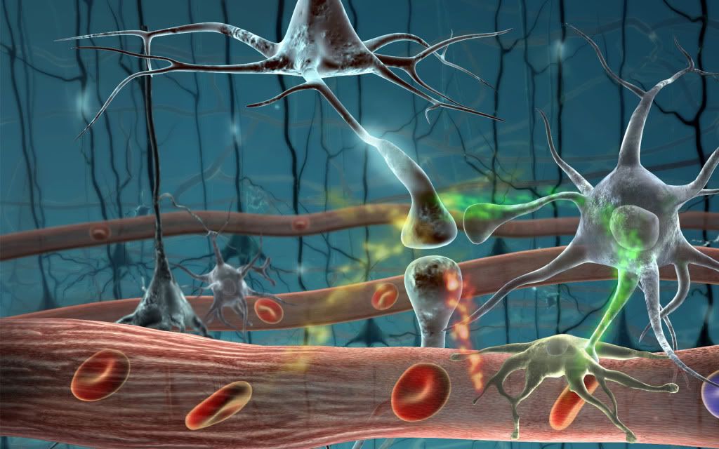 immune_system.jpg