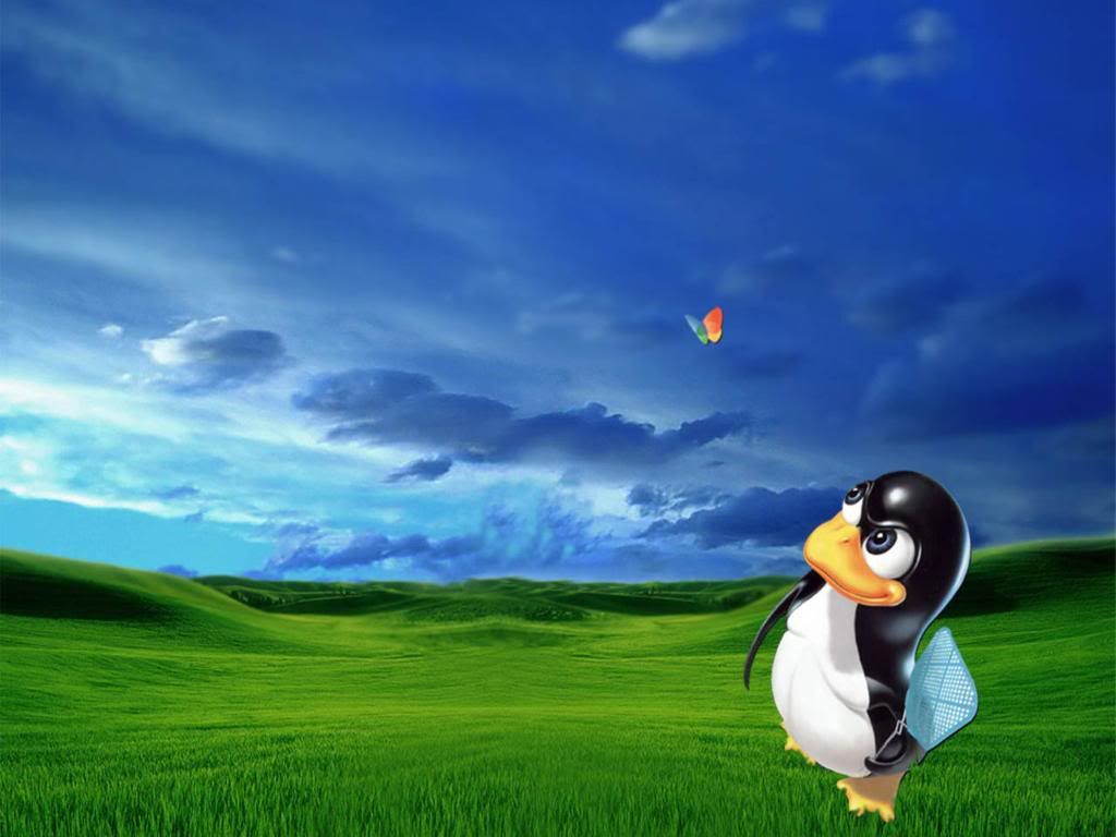 linux-wallpaper.jpg