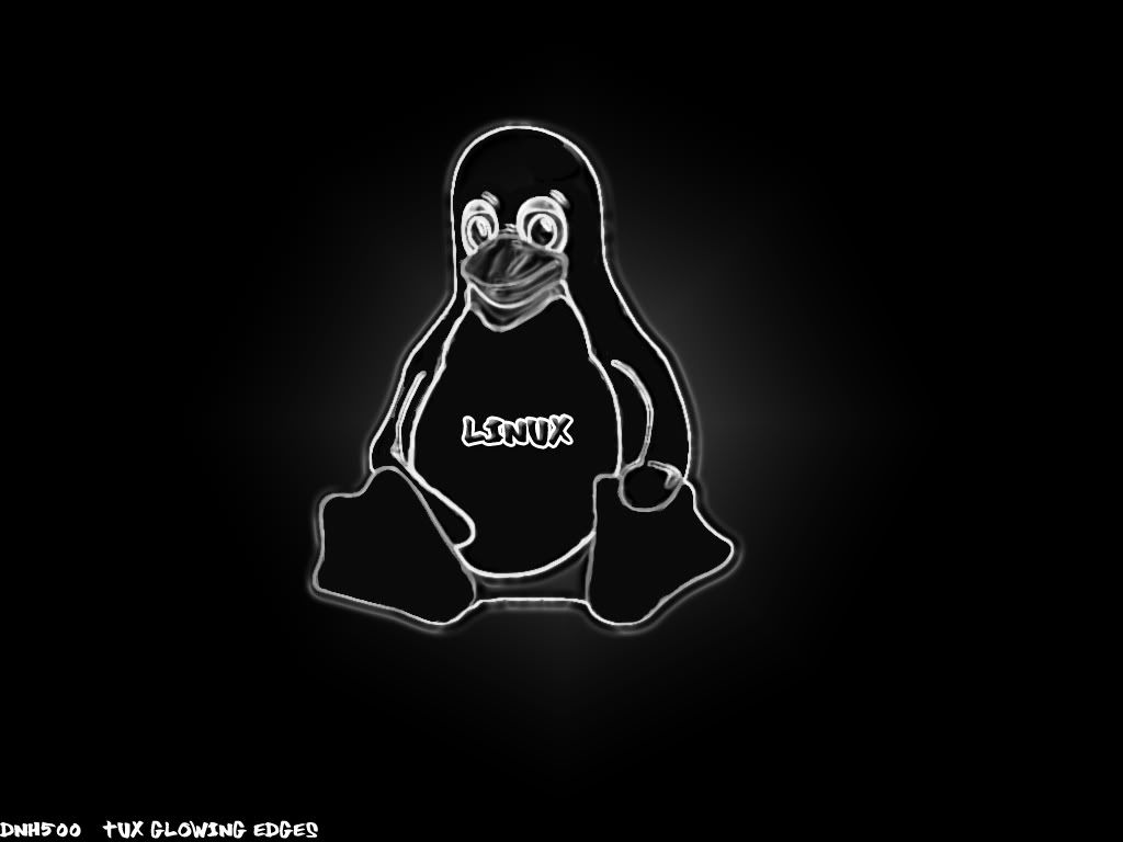 linux_5.jpg