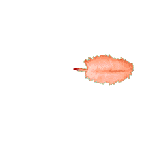 rabiafeder2xi9.gif