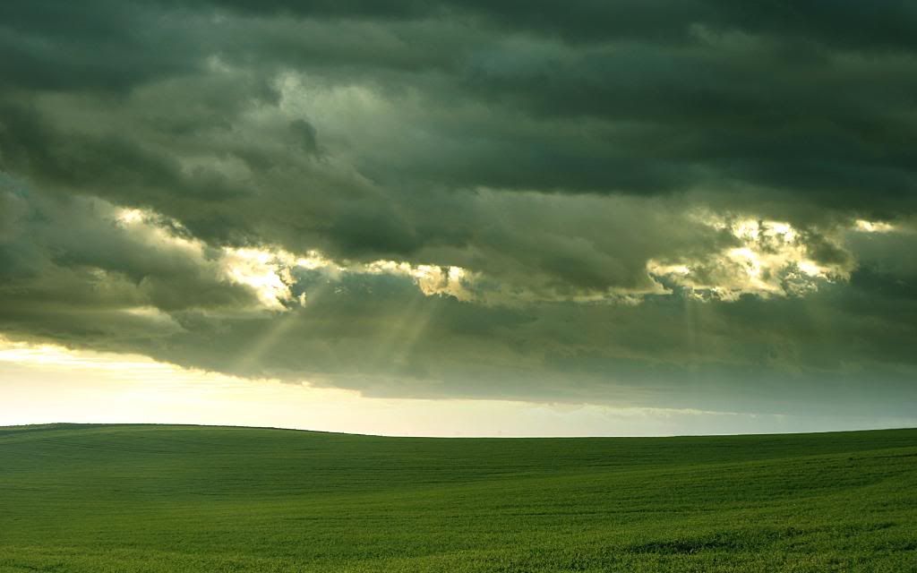 rainy_day_in_sunny_june__wide__by_ssilence.jpg