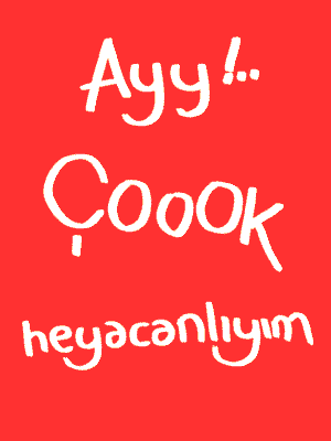 resim200511161350375606yy9.gif