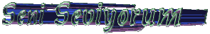 seniseviyorum01vw1.gif