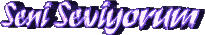 seniseviyorum02ll4.gif