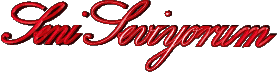 seniseviyorum06fq7-1.gif