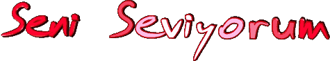 seniseviyorum08qq4.gif