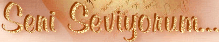 sgunu2sevgidz4.gif
